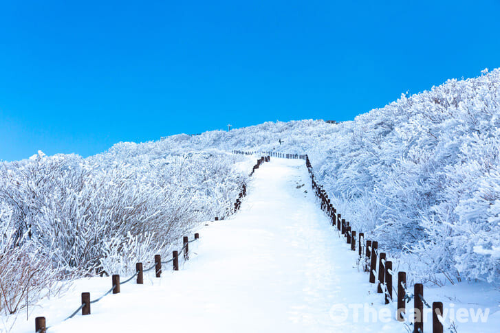 소백산 이미지