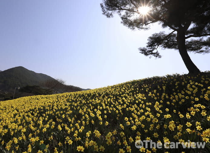 지리산 이미지