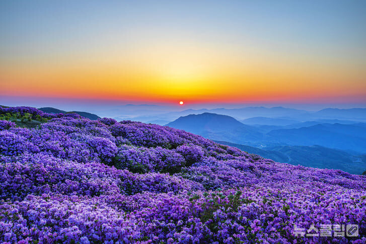 황매산 이미지