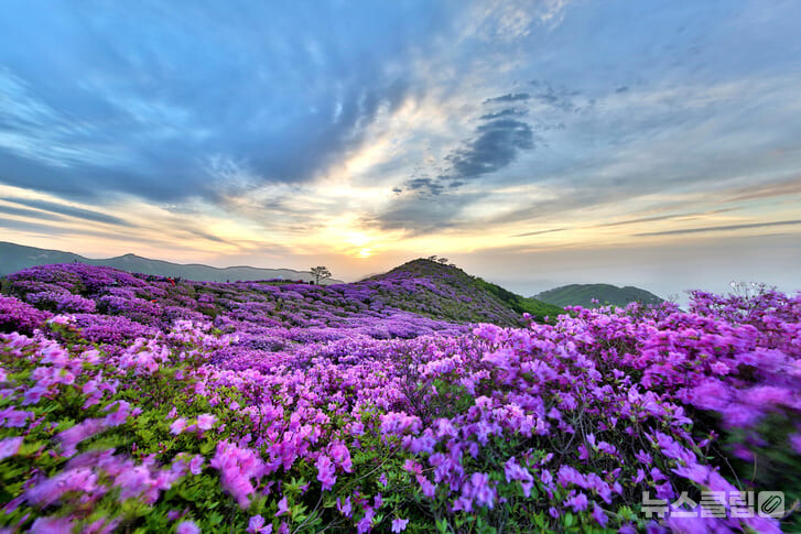 황매산 이미지