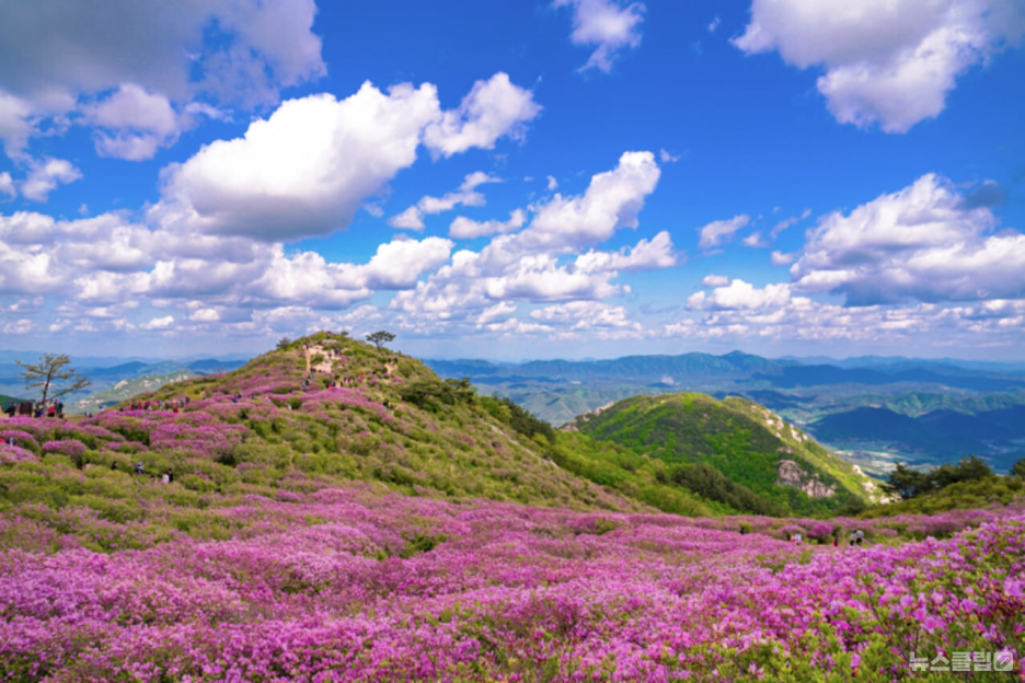 황매산 이미지