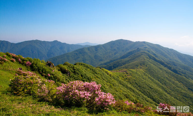 소백산 이미지