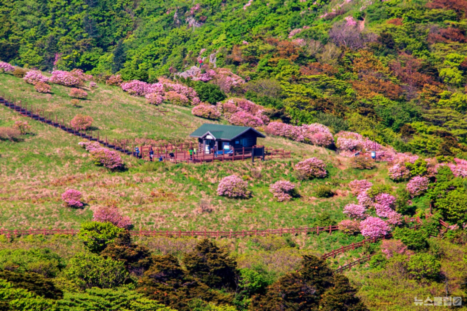 소백산 이미지