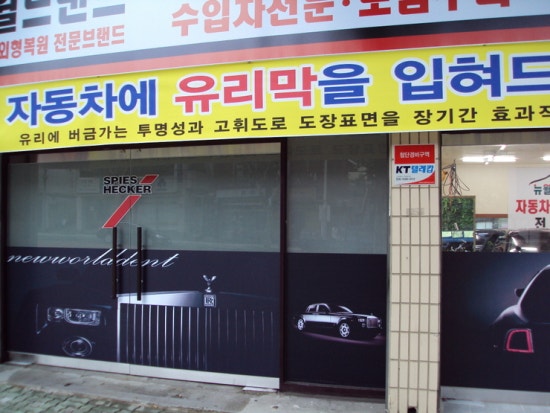 뉴월드덴트 이미지