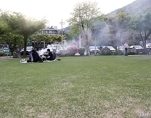 금남멧돼지 이미지