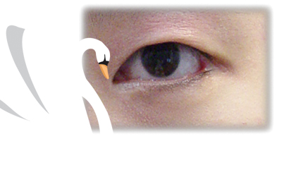 <a href=