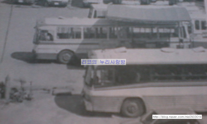 동진관광 이미지