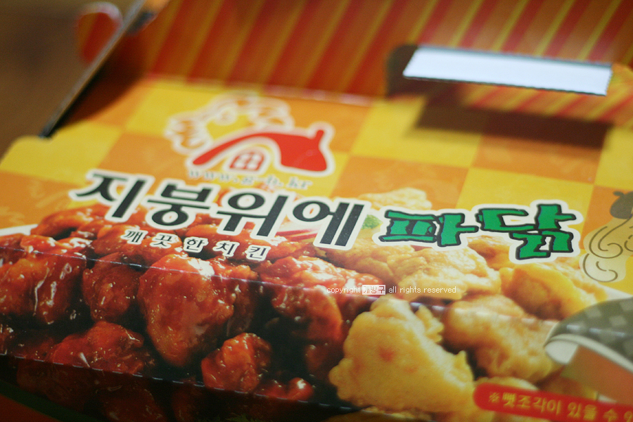 지붕위에파닭 이미지