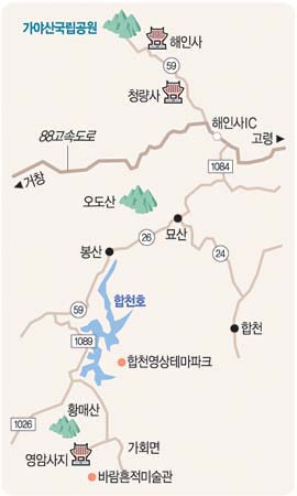 올래통신 이미지
