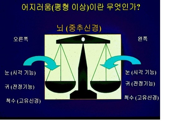 신촌연세이비인후과 이미지