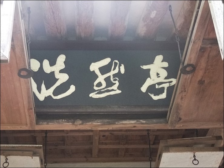 아라실 이미지