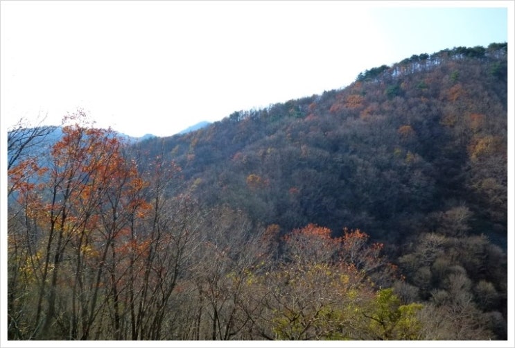 덕산수퍼 이미지