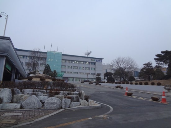 태풍정육점 이미지