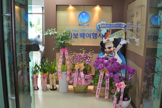 보배여행사 이미지