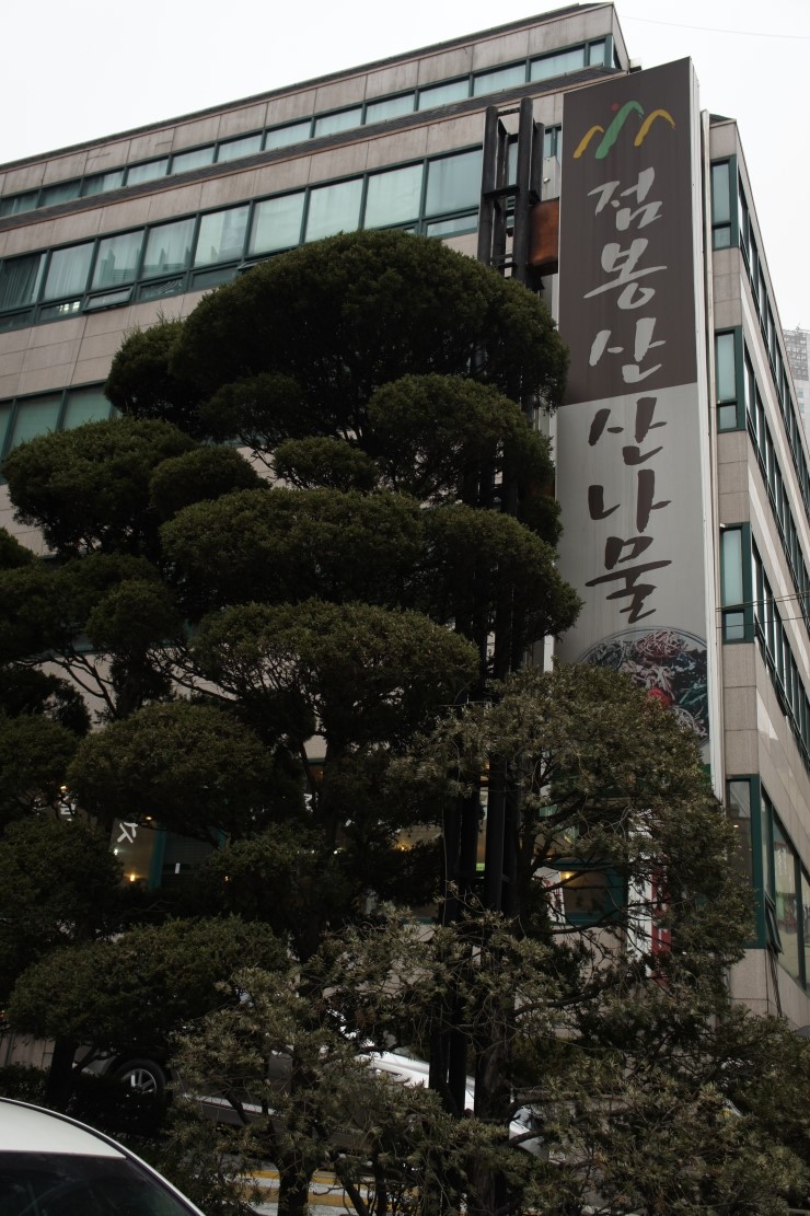 백옥치과의원 이미지
