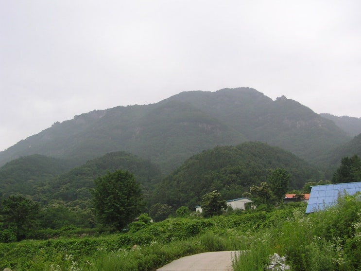 종자산 정상 이미지