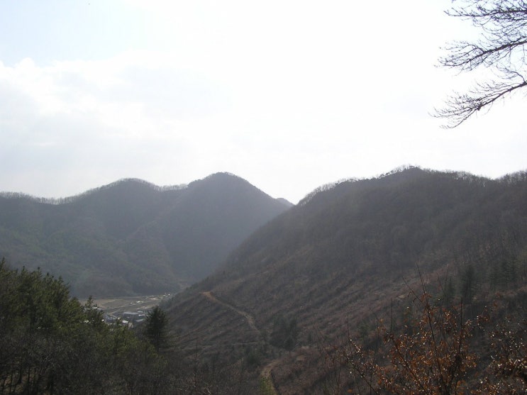 수산(자웅산) 이미지