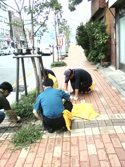화자씨 이미지