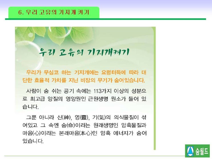 광양중진초등학교 이미지