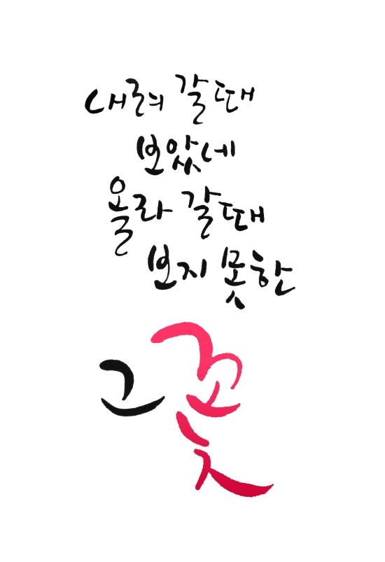 밝은내일운동 이미지