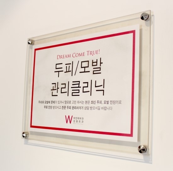 하얀진주 이미지