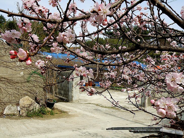 광장직업소개소 이미지