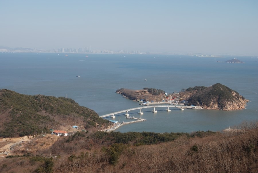 해화무 이미지