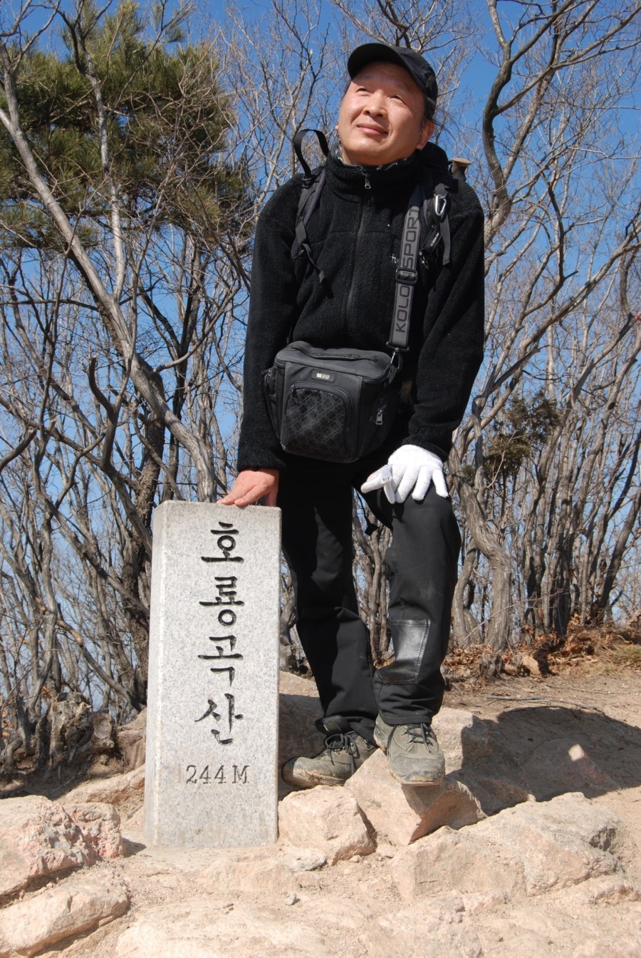해화무 이미지