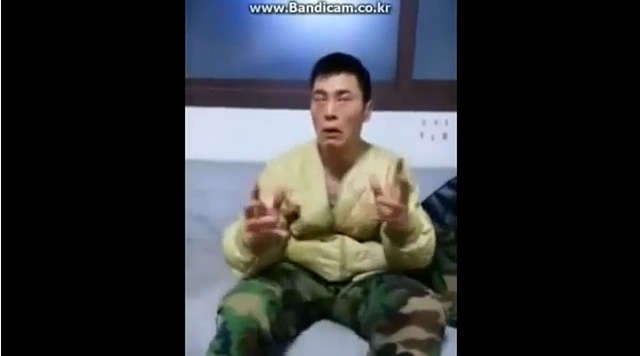 푸른송 이미지