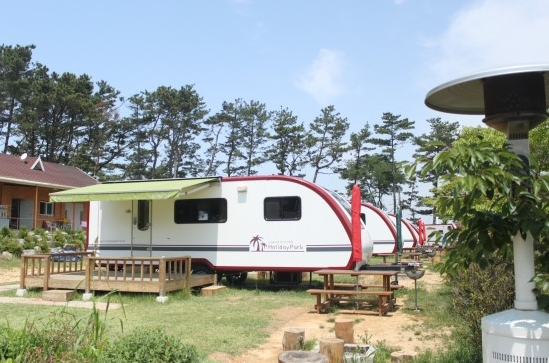 송치과 이미지