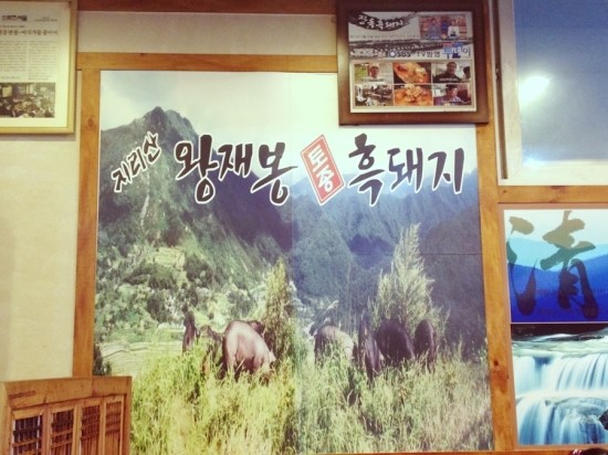 지리산토종흑돼지 이미지