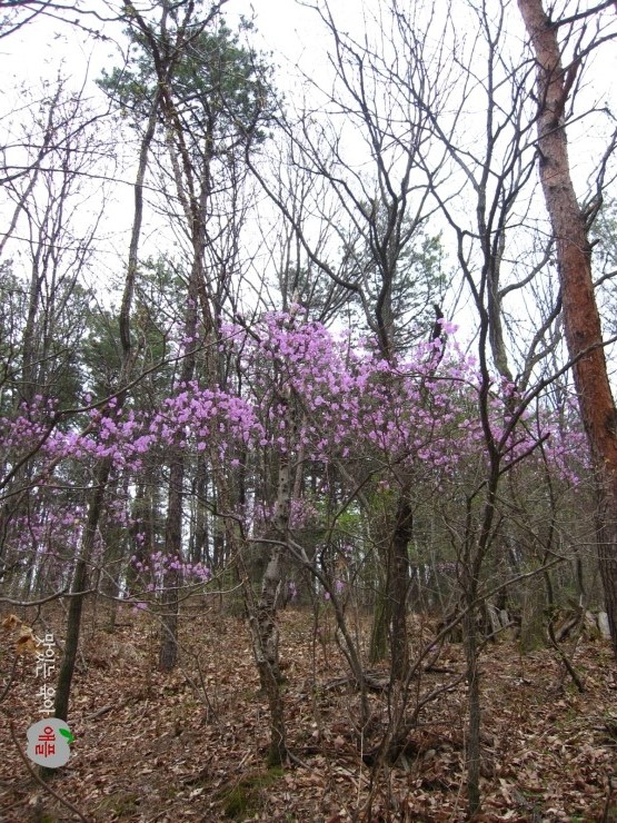 (주)산에들에 이미지