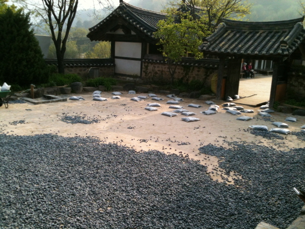 영화조경 이미지