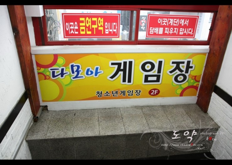 다모아투어 이미지