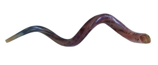 코셔 (Kosher) 쇼파르 나팔 , 뿔나팔 , 성경에 등장하는 악기, 코셔르 양각나팔 : 네이버 블로그