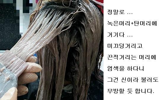 전국머리자랑 이미지