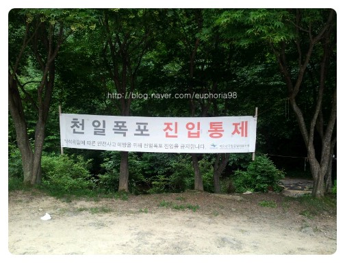 천일관광 이미지