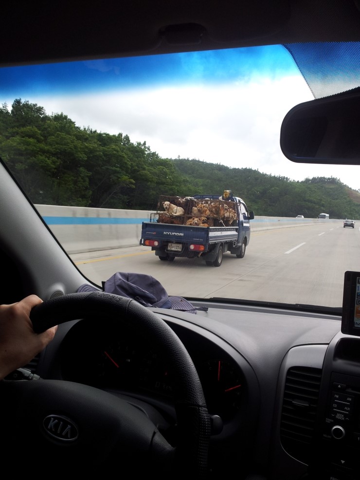 존제산하느제캠핑장 이미지
