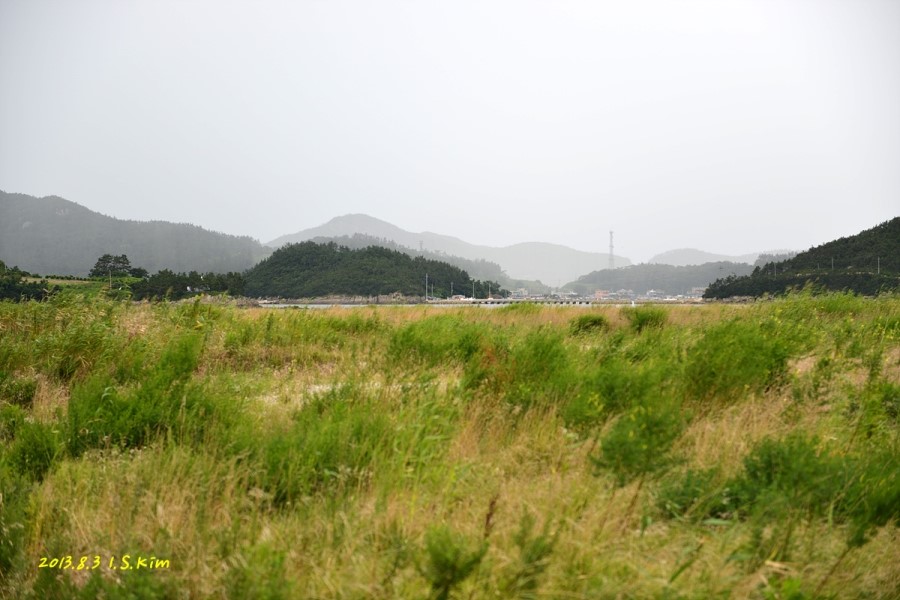 대리어촌계 이미지