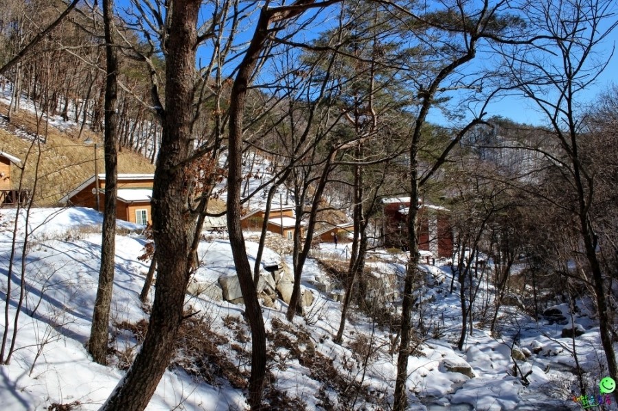 산삼자연휴양림 이미지