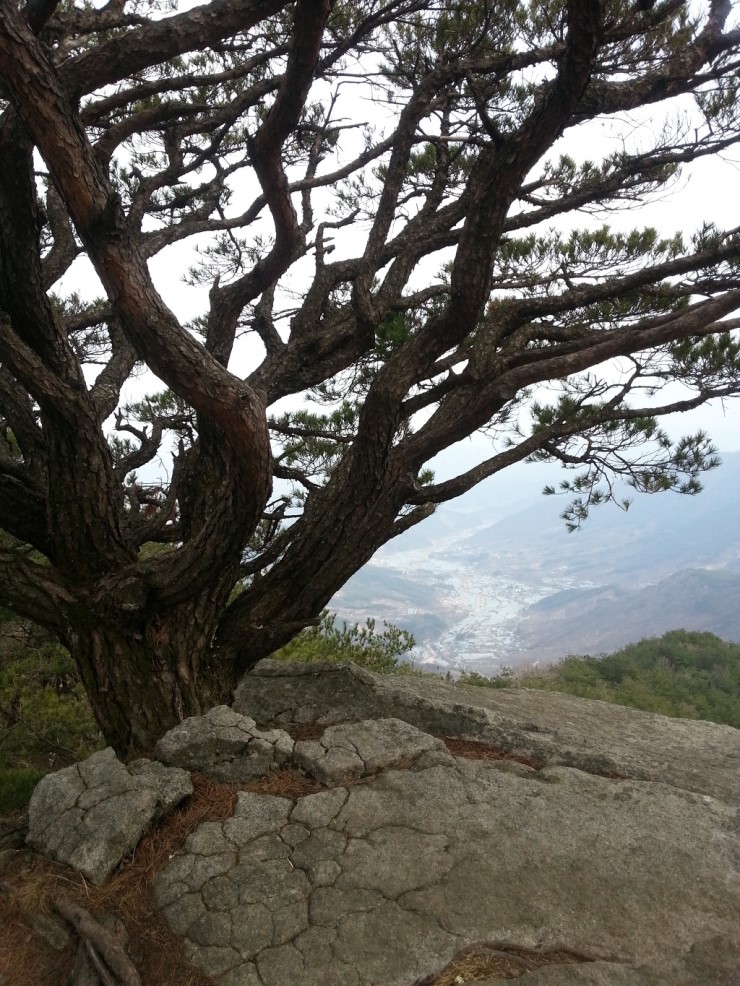 남산고을 이미지