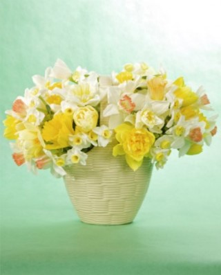 카라flower 이미지