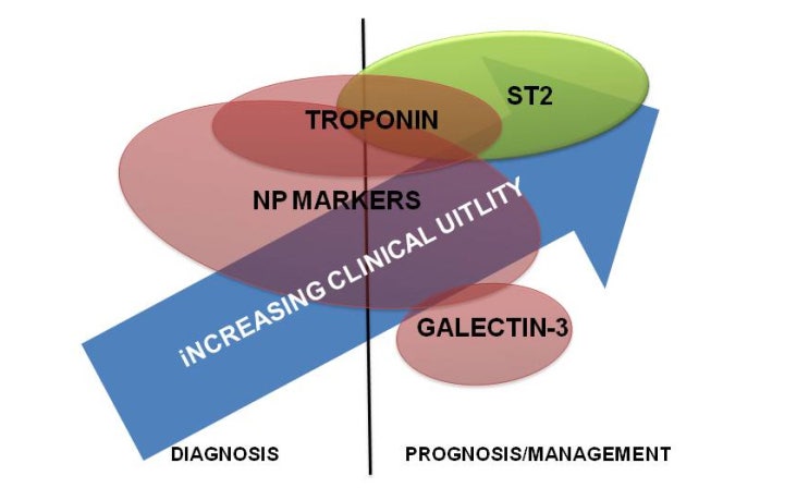 Soluble ST2 (sST2), 새로운 생물학적 심장표지자 : 네이버 블로그