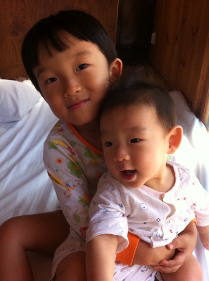 숲속의별들 이미지