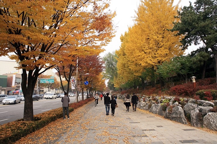하마사 이미지
