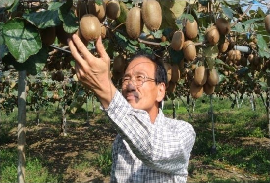 보성유기질비료 이미지