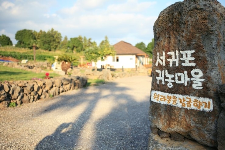 뜰의향기 이미지