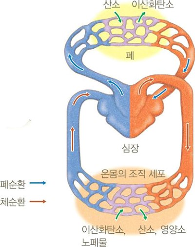 동보한의원 이미지
