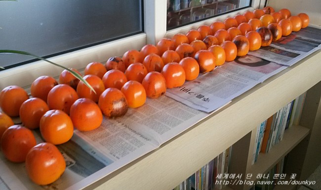 루코도모 이미지