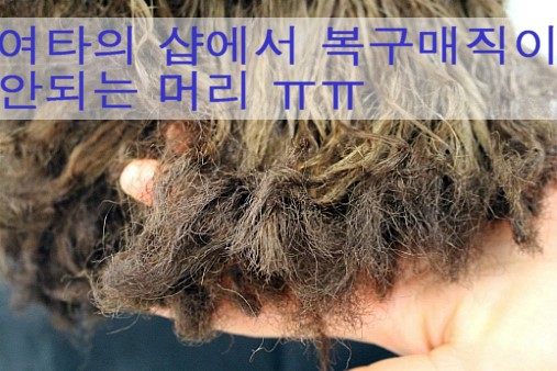 앙포레헤어 이미지